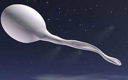 精子杀手排行榜！你的精子没问题吧？