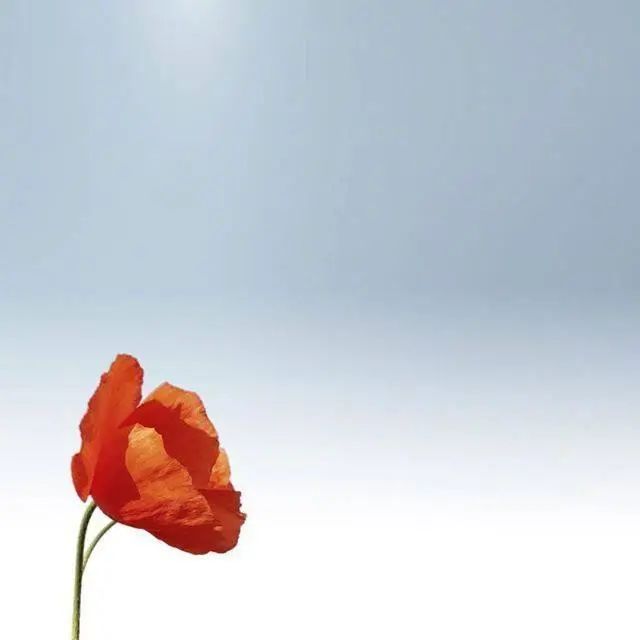 对人生的一些感悟句子，充满哲理，启迪人心！