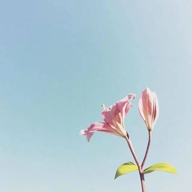 对人生的一些感悟句子，充满哲理，启迪人心！