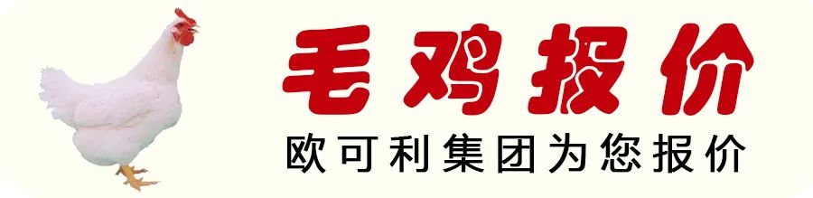 018.09.27肉鸡苗价格，近期鸡苗价格"
