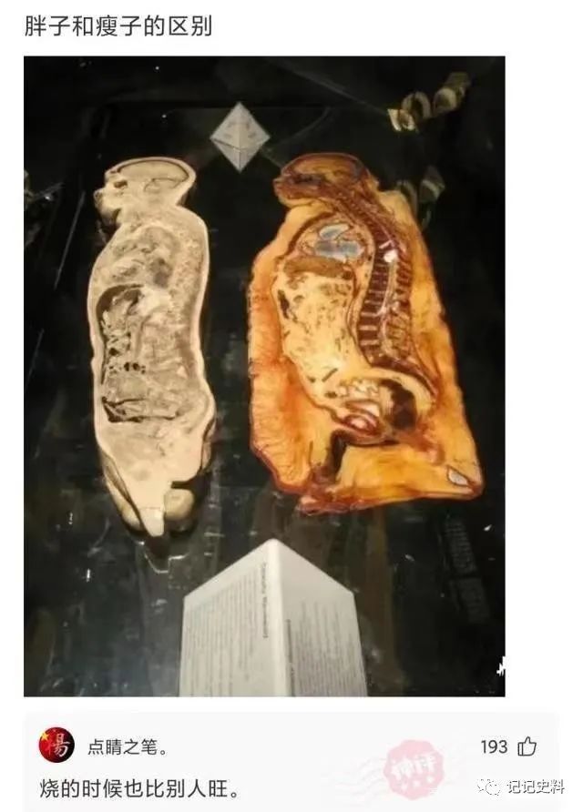 怎么用这些词组成一句完整的话！网友:姥姥用我养了一条狗。