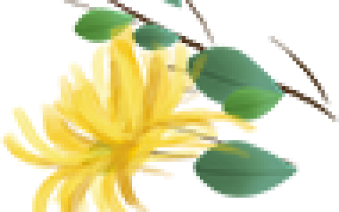 有多少爱可以重来难唱吗，无奈的思绪几几年的歌