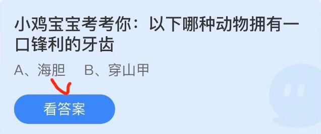 哪类动物牙齿最锋利(牙齿利锋是什么动物)