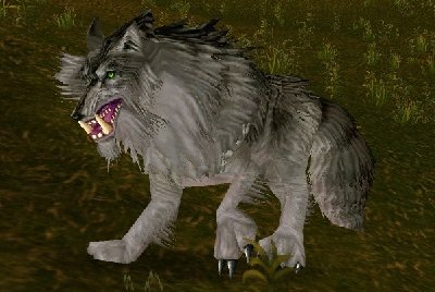 魔兽世界wlk狼在哪抓