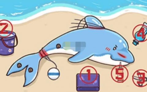 海豚模拟器快速存档(海豚模拟器如何存档)