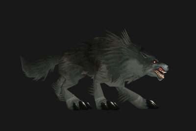 魔兽世界wlk狼在哪抓