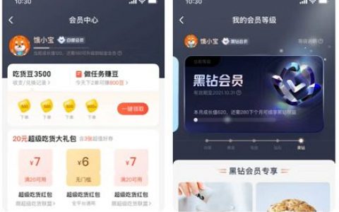 饿了么 店铺会员(饿了么黑卡会员)