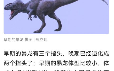 饿了么一天只能优惠3单(饿了么7折)