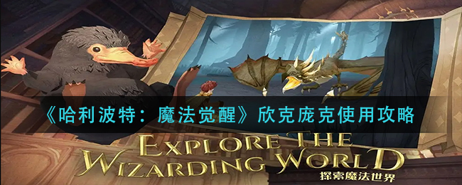 《哈利波特:魔法觉醒》欣克庞克使用攻略