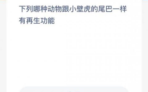 龙涎香来自于哪种海洋生物(龙涎香来自于哪种海洋动物)