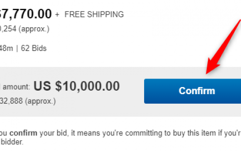 ebay题目，ebay竞价技巧