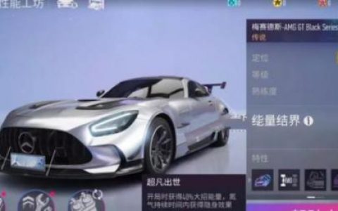 奔驰amggt赛道版(奔驰amggt极速)