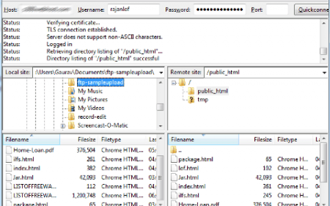 windows ftp服务器软件，常用ftp服务器软件