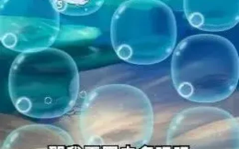 数字大碰撞v316.101(2022最新版下载)