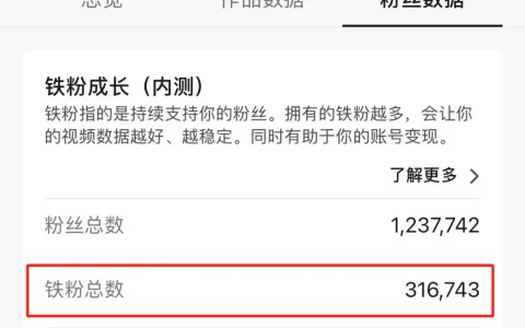 抖音粉丝标准，抖音人气粉丝