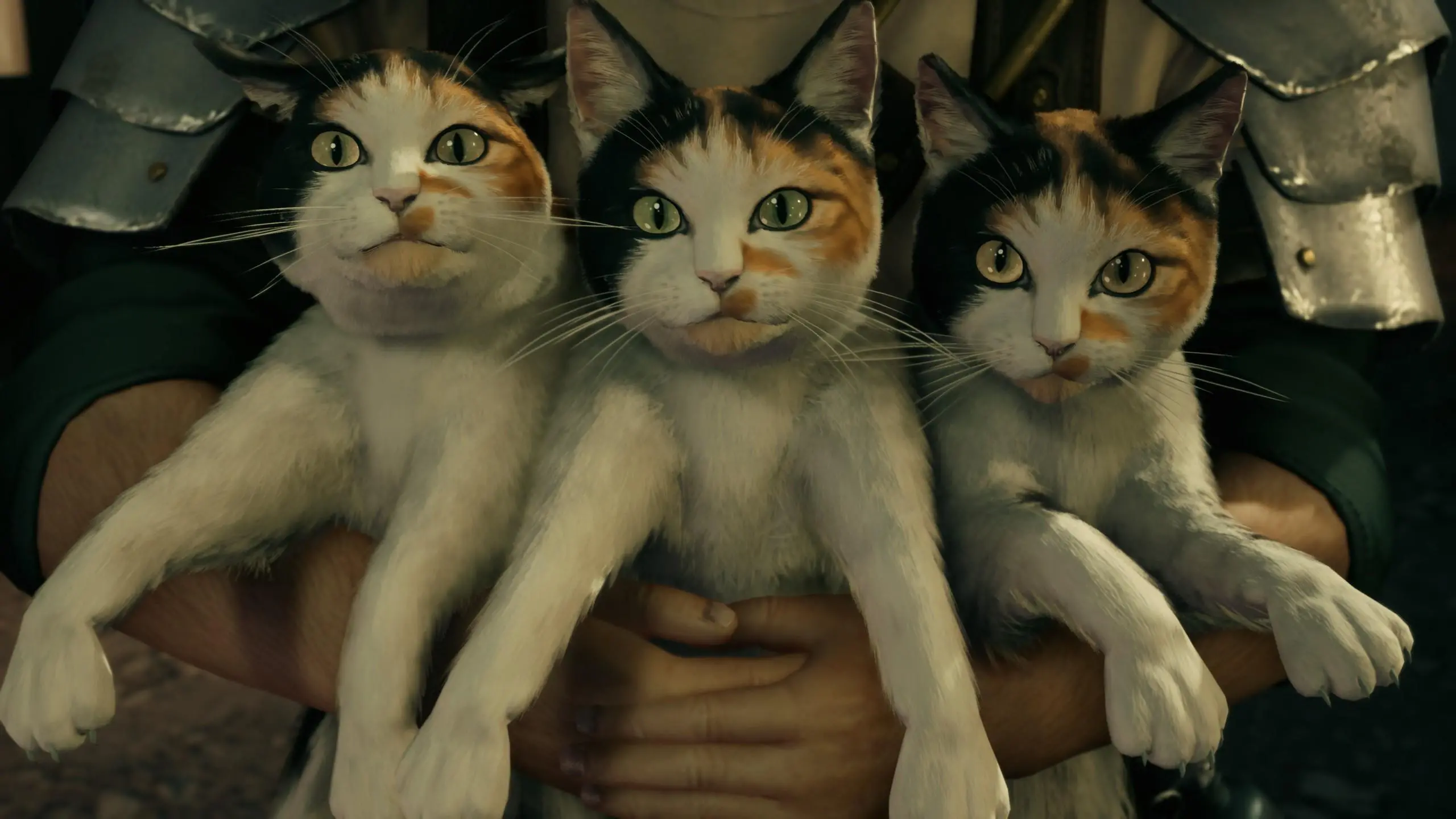 FF7re爱丽丝，ff7re爱丽丝喜欢谁