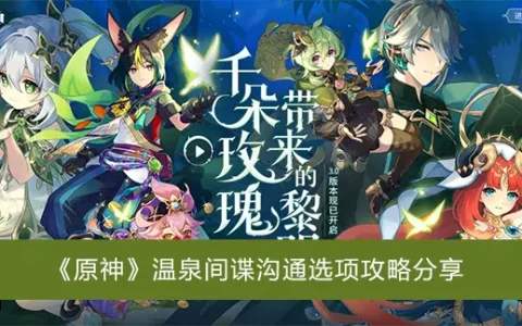 分享申远温泉的间谍通信选项