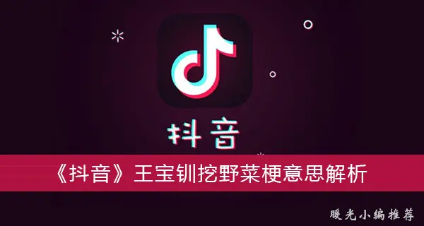 嘀嘀王宝钏挖山野菜梗意思解析