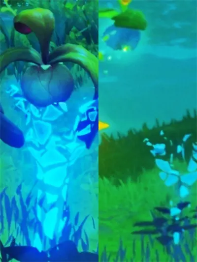 元神沙海迷踪4个火炬草种子分享不动问题解决方案