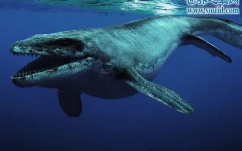 平滑侧齿龙长什么样，平滑侧齿龙150吨