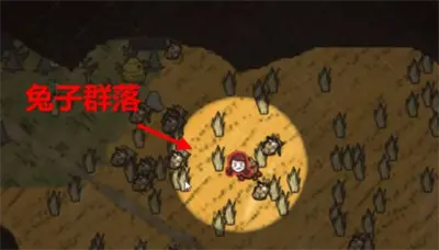 饥荒养兔攻略分享