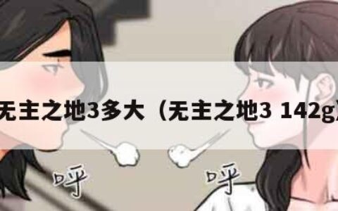 无主之地3多大（无主之地3 142g）
