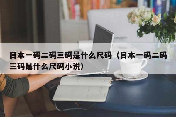 日本一码二码三码是什么尺码（日本一码二码三码是什么尺码小说）