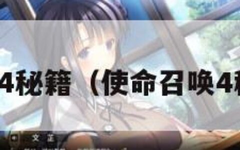 使命召唤4秘籍（使命召唤4秘籍地图）