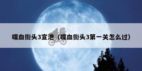 喋血街头3宣泄（喋血街头3第一关怎么过）