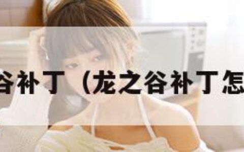 龙之谷补丁（龙之谷补丁怎么用）