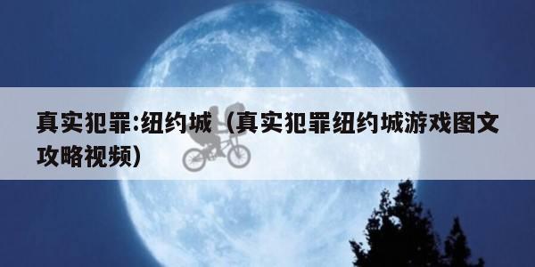 真实犯罪:纽约城（真实犯罪纽约城游戏图文攻略视频）