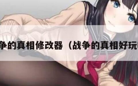 战争的真相修改器（战争的真相好玩吗）