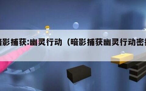 暗影捕获:幽灵行动（暗影捕获幽灵行动密技）