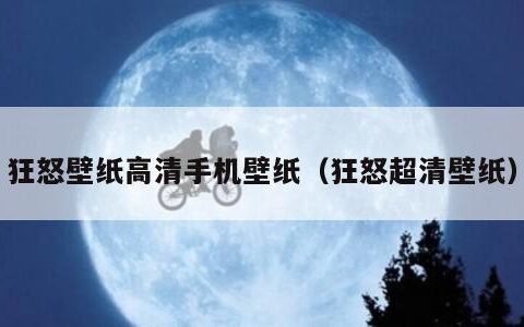 狂怒壁纸高清手机壁纸（狂怒超清壁纸）