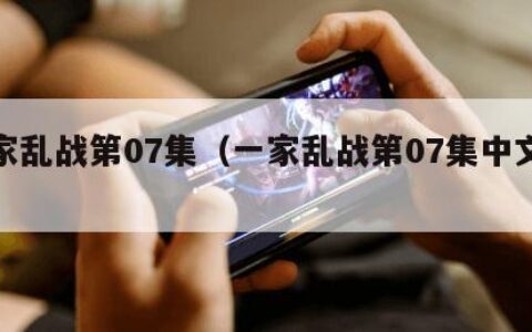 一家乱战第07集（一家乱战第07集中文版）