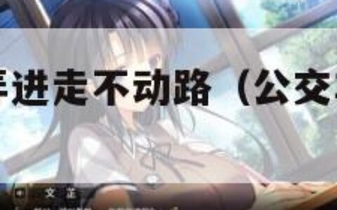 公交车上被弄进走不动路（公交车上被弄进走不动路的人）