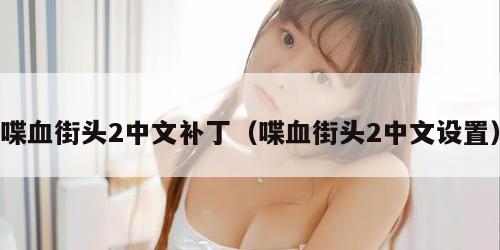 喋血街头2中文补丁（喋血街头2中文设置）