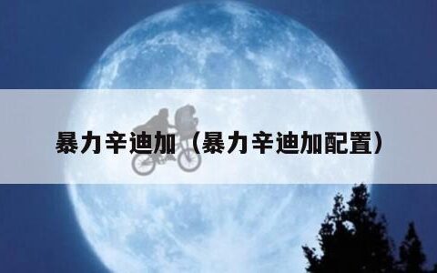 暴力辛迪加（暴力辛迪加配置）