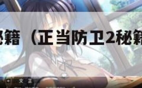 正当防卫2秘籍（正当防卫2秘籍代码在哪输入）