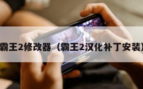 霸王2修改器（霸王2汉化补丁安装）