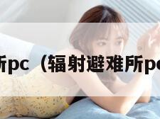 辐射避难所pc（辐射避难所pc汉化补丁）