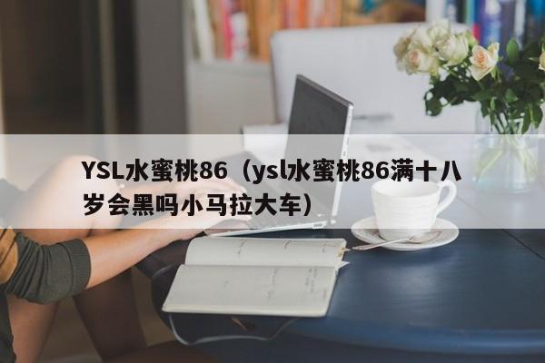 YSL水蜜桃86（ysl水蜜桃86满十八岁会黑吗小马拉大车）