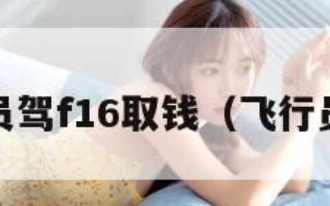 飞行员驾f16取钱（飞行员efb）