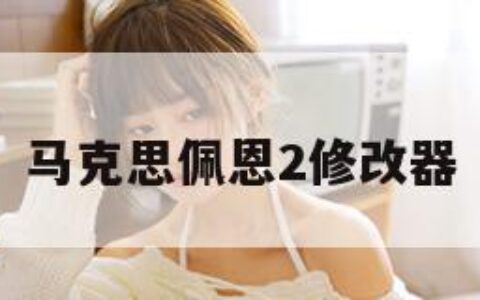 马克思佩恩2修改器