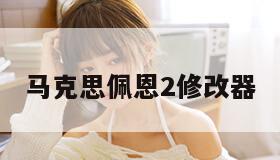 马克思佩恩2修改器