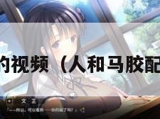 马胶配方的视频（人和马胶配方的视频）