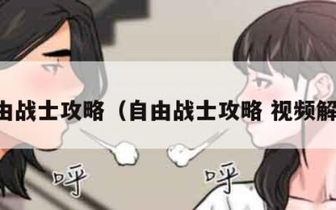 自由战士攻略（自由战士攻略 视频解说）
