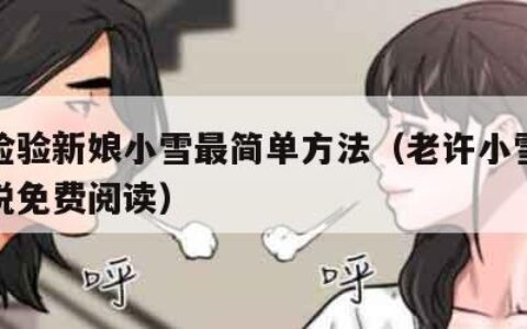 婚礼检验新娘小雪最简单方法（老许小雪的婚俗小说免费阅读）
