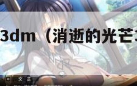 消逝的光芒3dm（消逝的光芒3d眩晕怎么办）