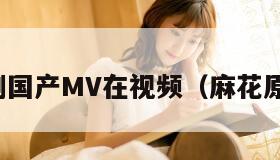 麻花豆剧国产MV在视频（麻花原创视频）
